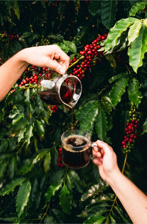 Every Cup Counts: How Change Please is Answering Nature's Call