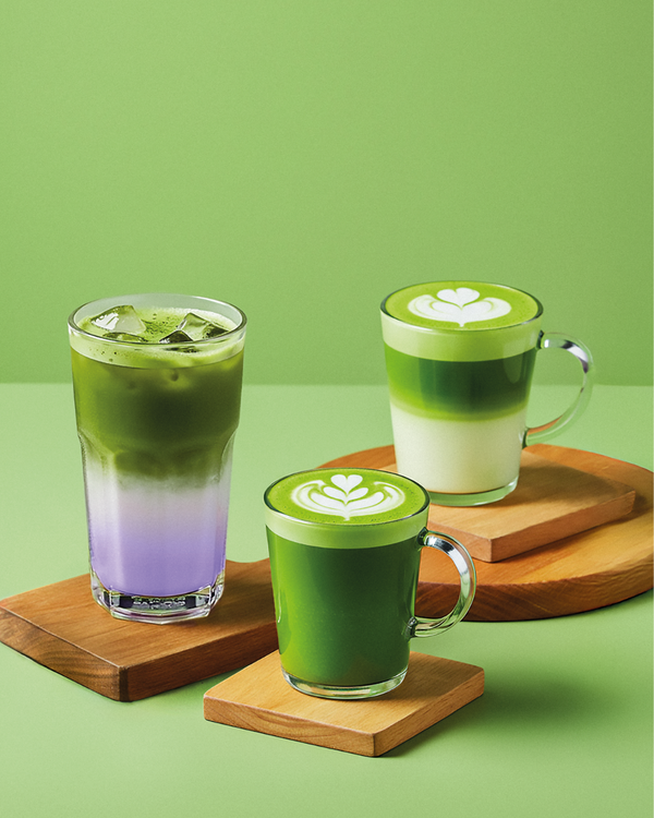 MATCHA SEASON IS BACK !