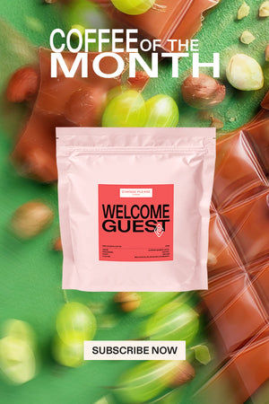 WELCOME GUEST  : GUSTAVO RIBEIRO
