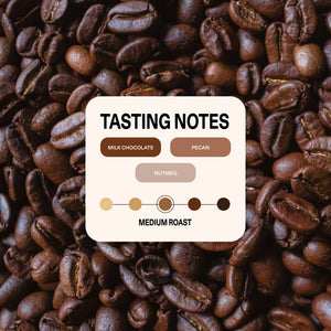 Steady Fuel Decaf - Specialty Coffee