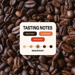 Welcome Guest - Specialty Coffee