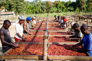 night dancers photo-474.jpg__PID:eef3a511-9426-4d0c-9656-51d03cc6a20d